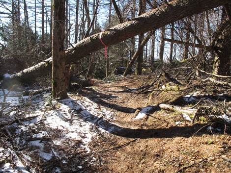 20181214hike (191)